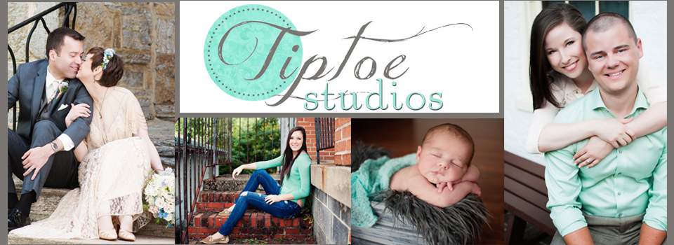 The Tiptoe Studios Blog